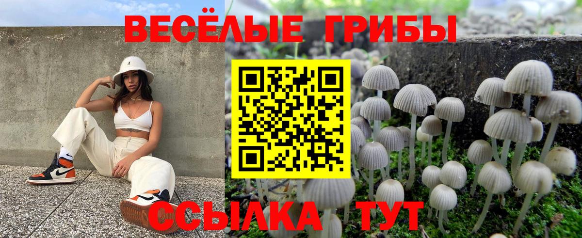 Галлюциногенные грибы мицелий Мурино