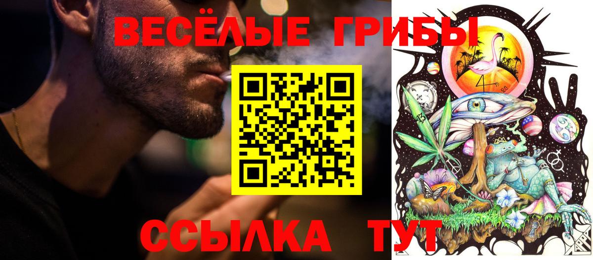 Мурино  Псилоцибиновые грибы Magic Shrooms  закладка  Вход с VPN 